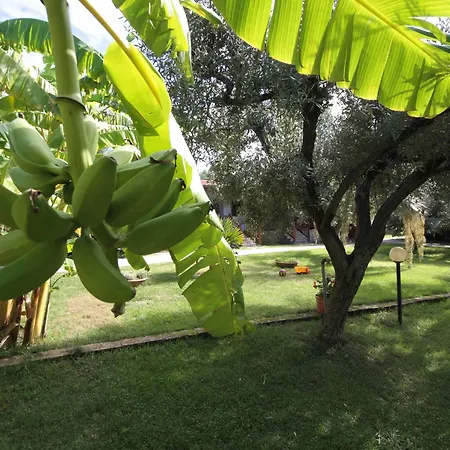 Tonicello & Hotel 4*