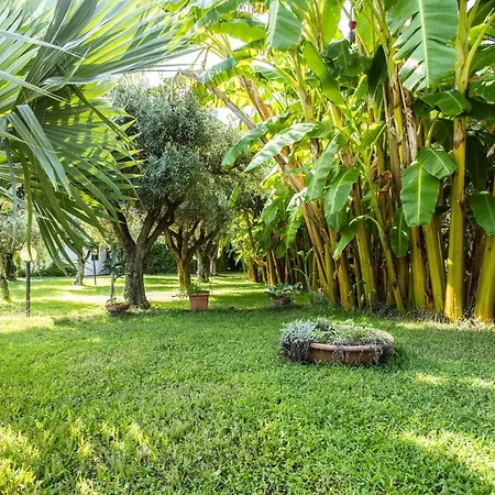 Hotel Tonicello & Capo Vaticano