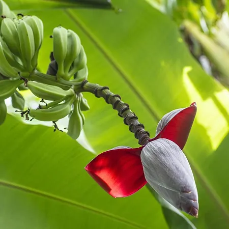 Tonicello & Hotel 4*