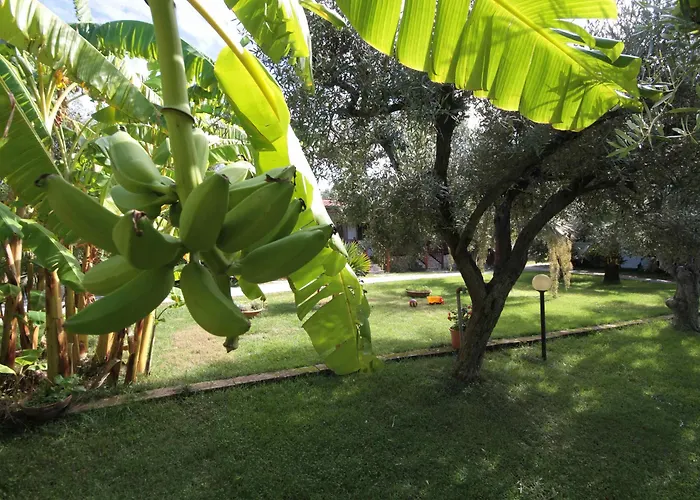 Tonicello & Отель 4*