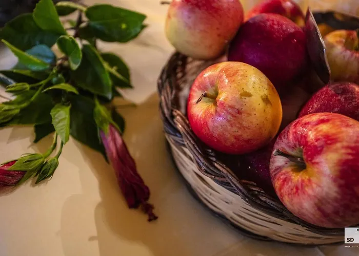 Отель Tonicello & 4*