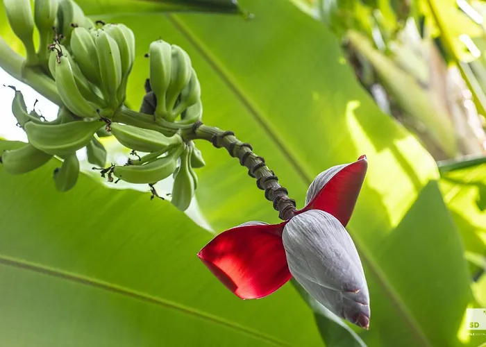 Tonicello & Отель 4*