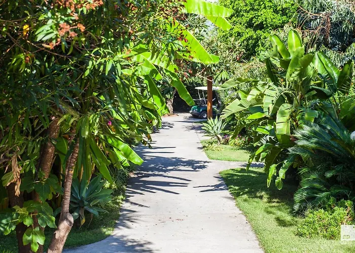 Отель Tonicello & 4*