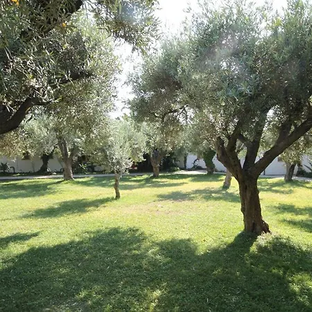 Hotell Tonicello &