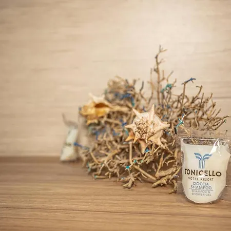 ホテル Tonicello &