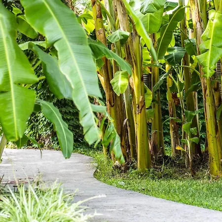 Tonicello & ホテル カーポ・ヴァチカーノ