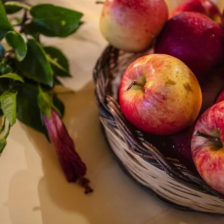 ホテル Tonicello & 4*