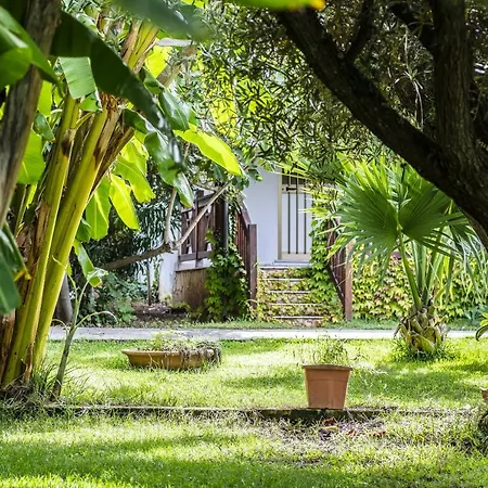 Tonicello Resort & Spa מלון קאפו ואטיצ'אנו