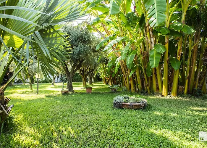 Hotell Tonicello & Capo Vaticano