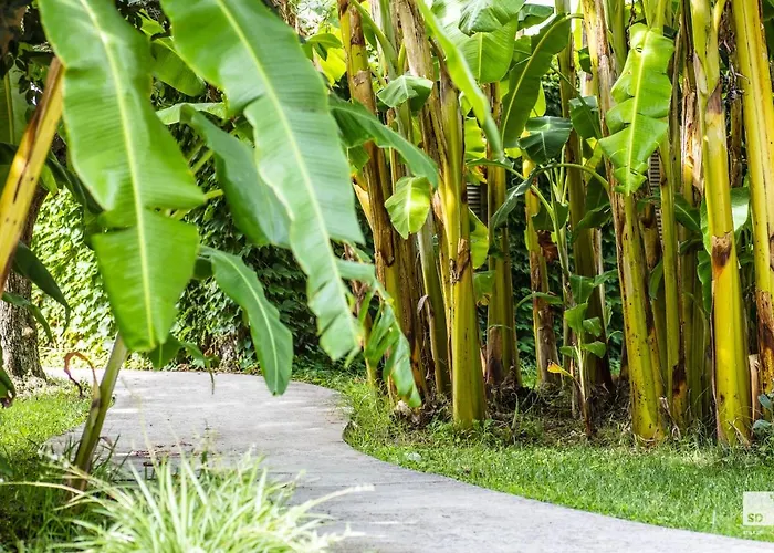 Tonicello & Hotell Capo Vaticano