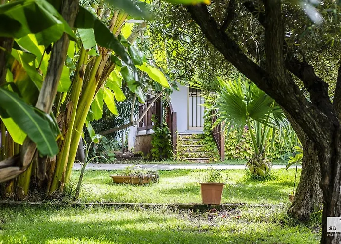 Tonicello & Hotell Capo Vaticano